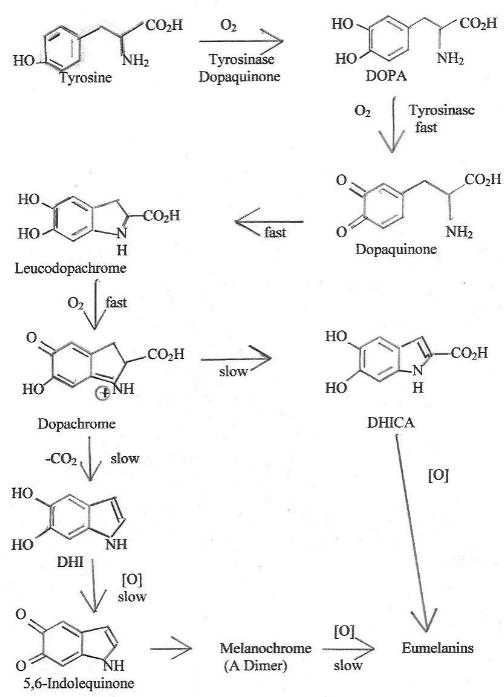 Chart 2