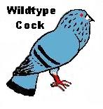 Blue Cock Icon