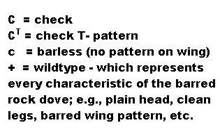 Pattern symbols