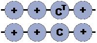 Pattern Locus 4