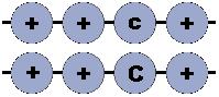 Pattern Locus 5