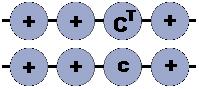 Pattern Locus 6